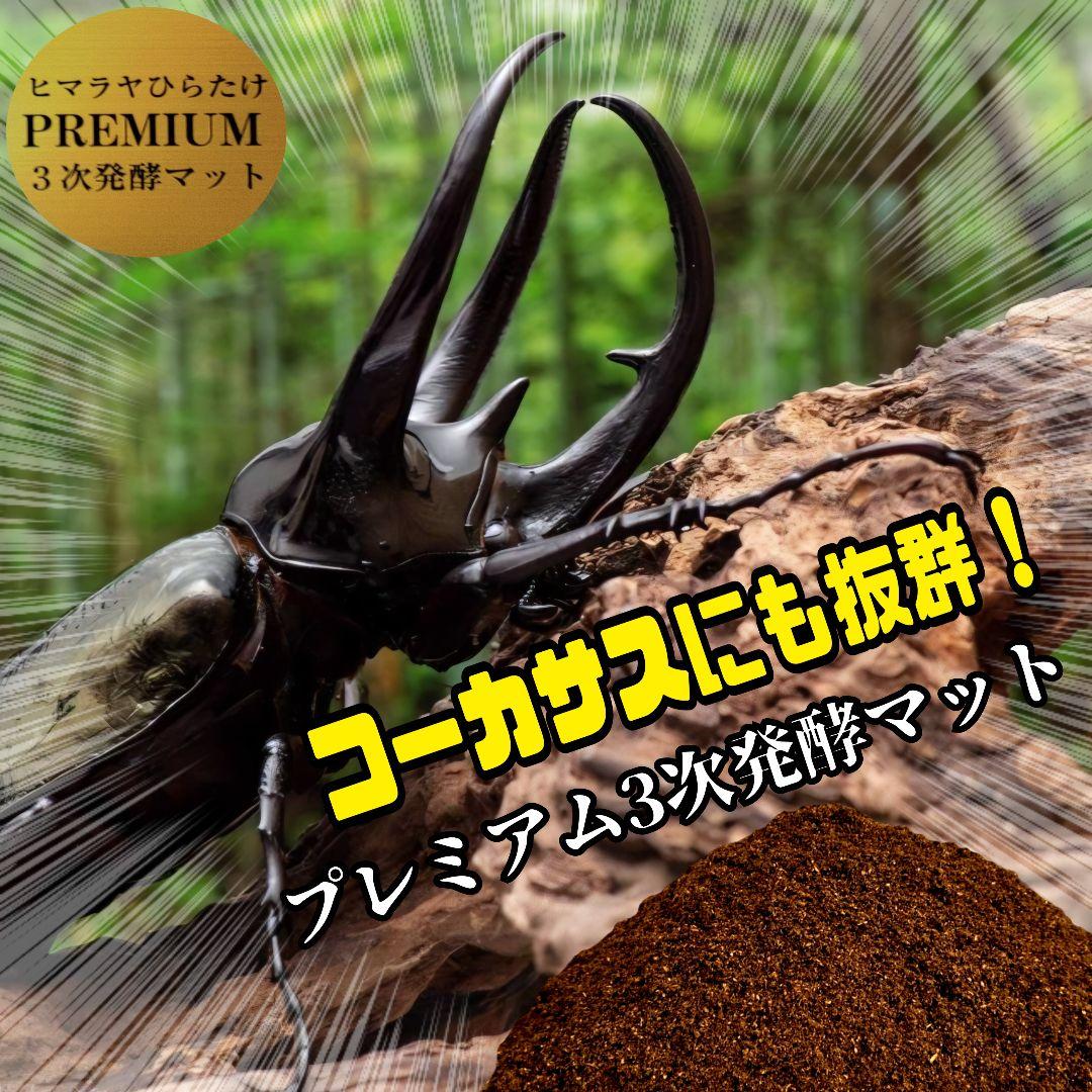 極上品！ヘラクレス181リミ羽化！プレミアム3次発酵カブトムシマット【100L】