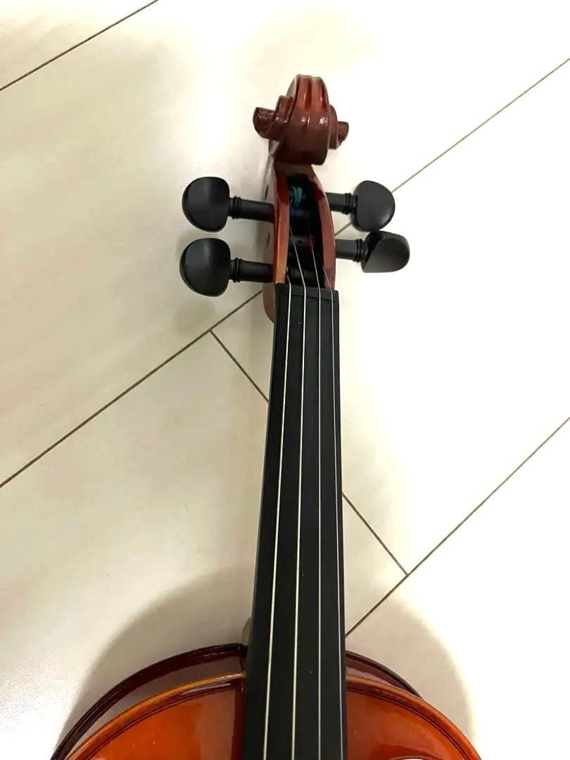 Carlo Giordano カルロジョルダーノ エレキバイオリンEV-202