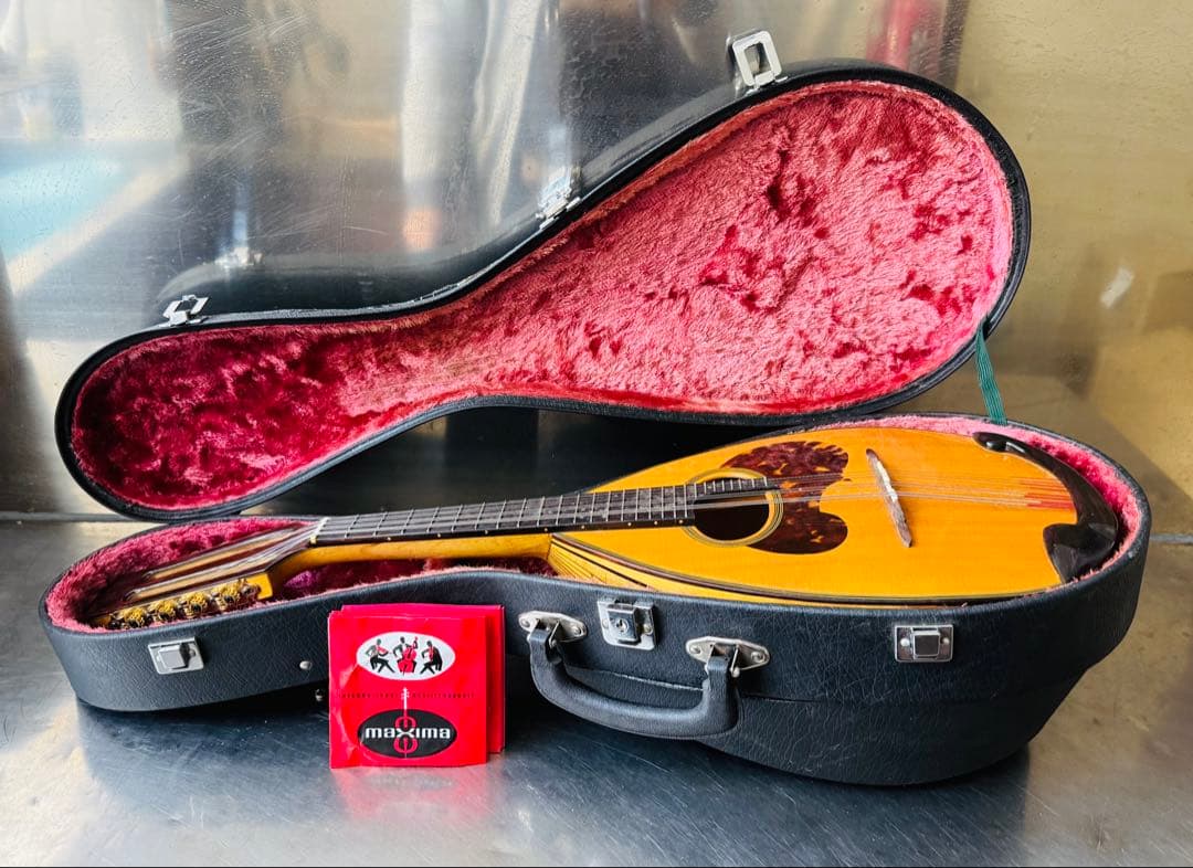 スズキマンドリン　M８０　ハードケース