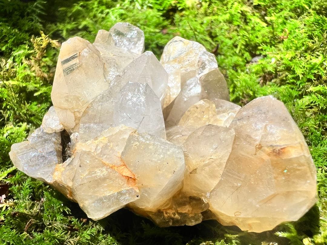 龍脈の精髄 国産ブラックルチル水晶クラスター売上一部保護猫活動に