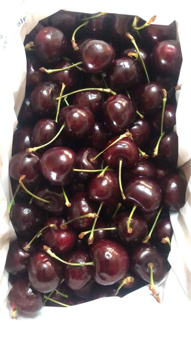 155.チリ産新鮮さくらんぼ　チェリー 箱込み2kg常温発送贈答用OR家庭用