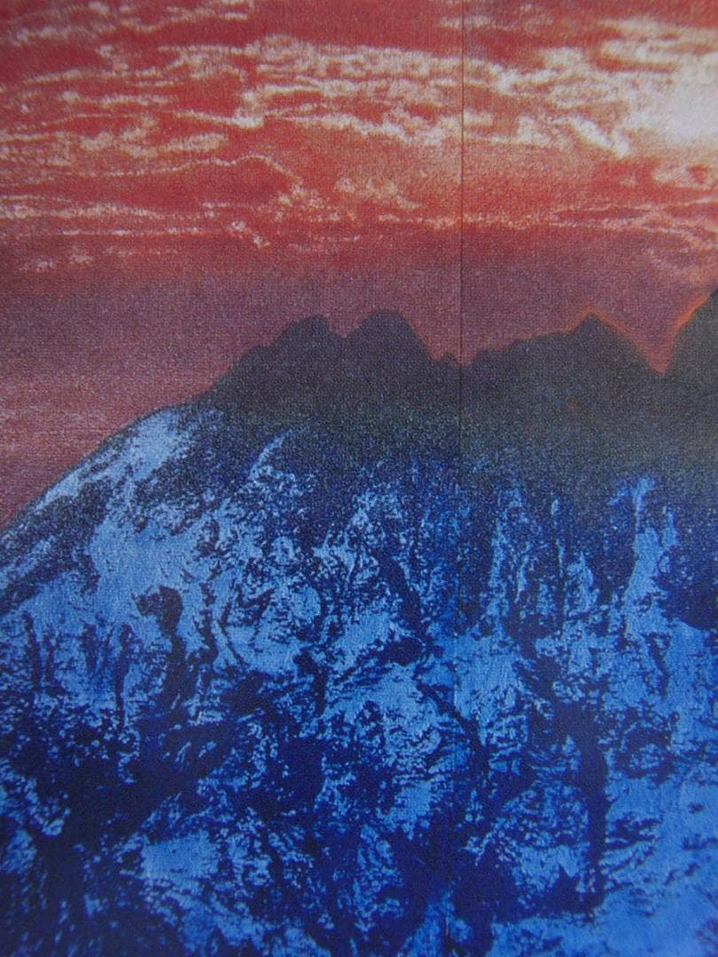 下田義寛、【羽搏く】、希少な額装用画集より、新品額装付