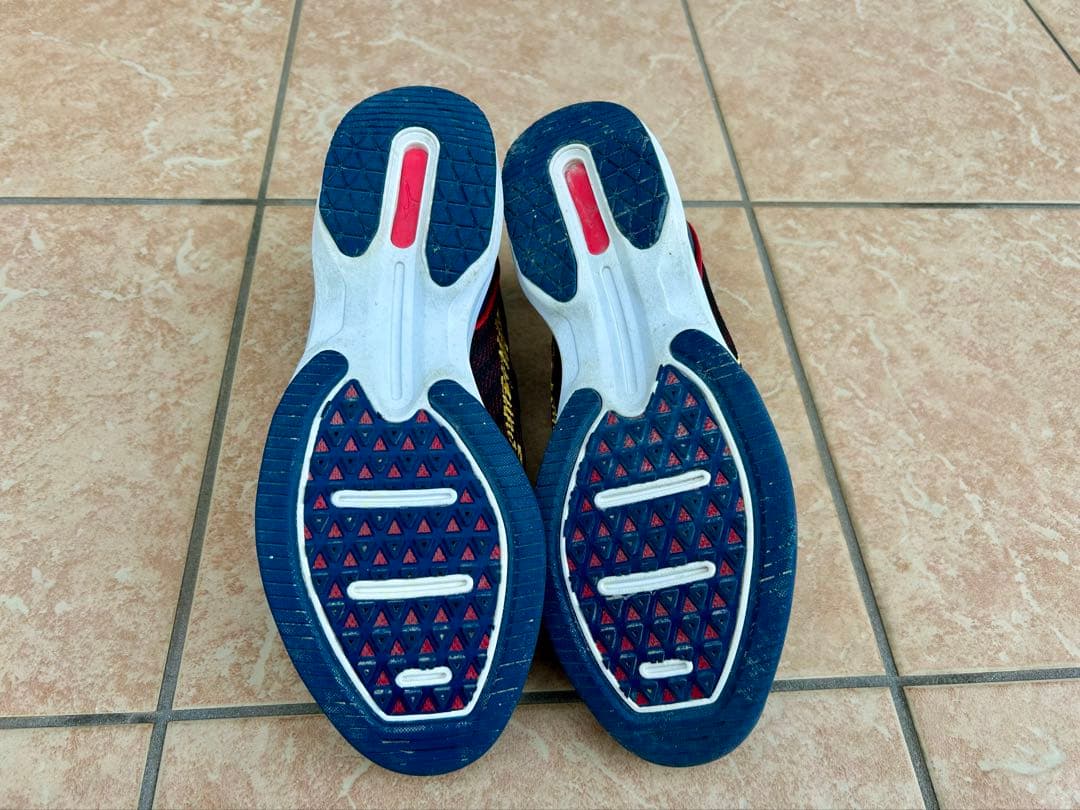 【値下げ】ミズノプロ　ウェーブライトレボランプロ　WBC限定色25.5㎝