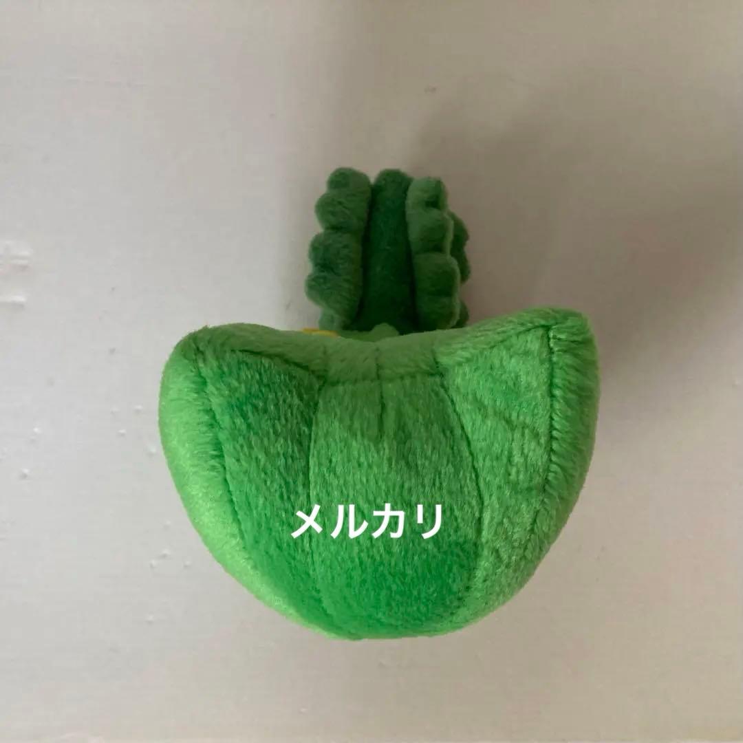 ポケドール ジュカイン 2004 ぬいぐるみ ポケモンセンター 長期保管品 希少