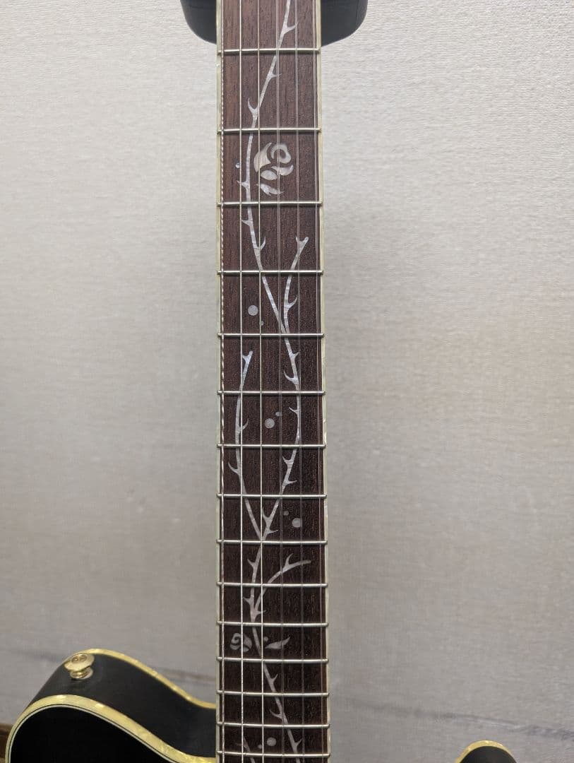 Ibanez timhensonモデル