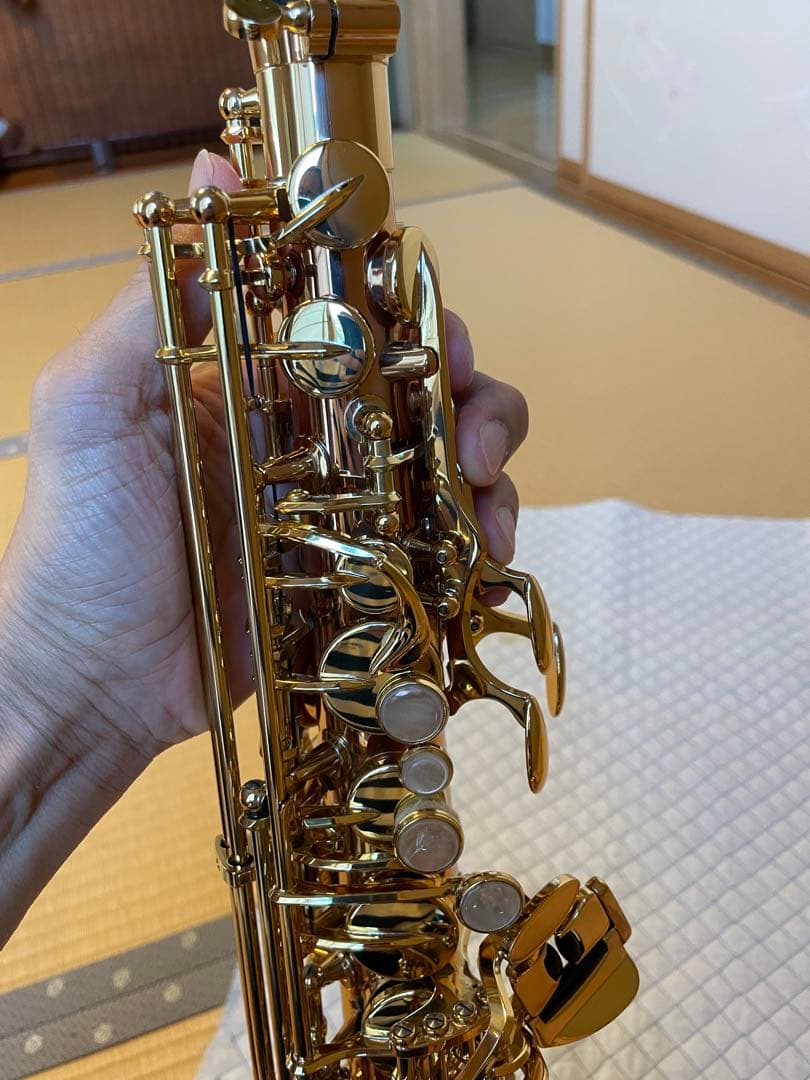 ヤナギサワ　アルトサックスA-WO2 2024年購入品