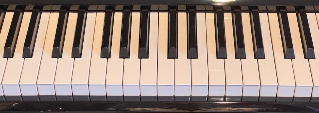 【12/21迄5万円引】KAWAI NV5S ハイブリッドピアノ 椅子付き