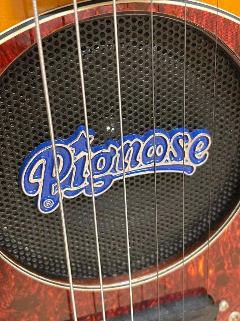 Pignose エレキギター　PGG-200