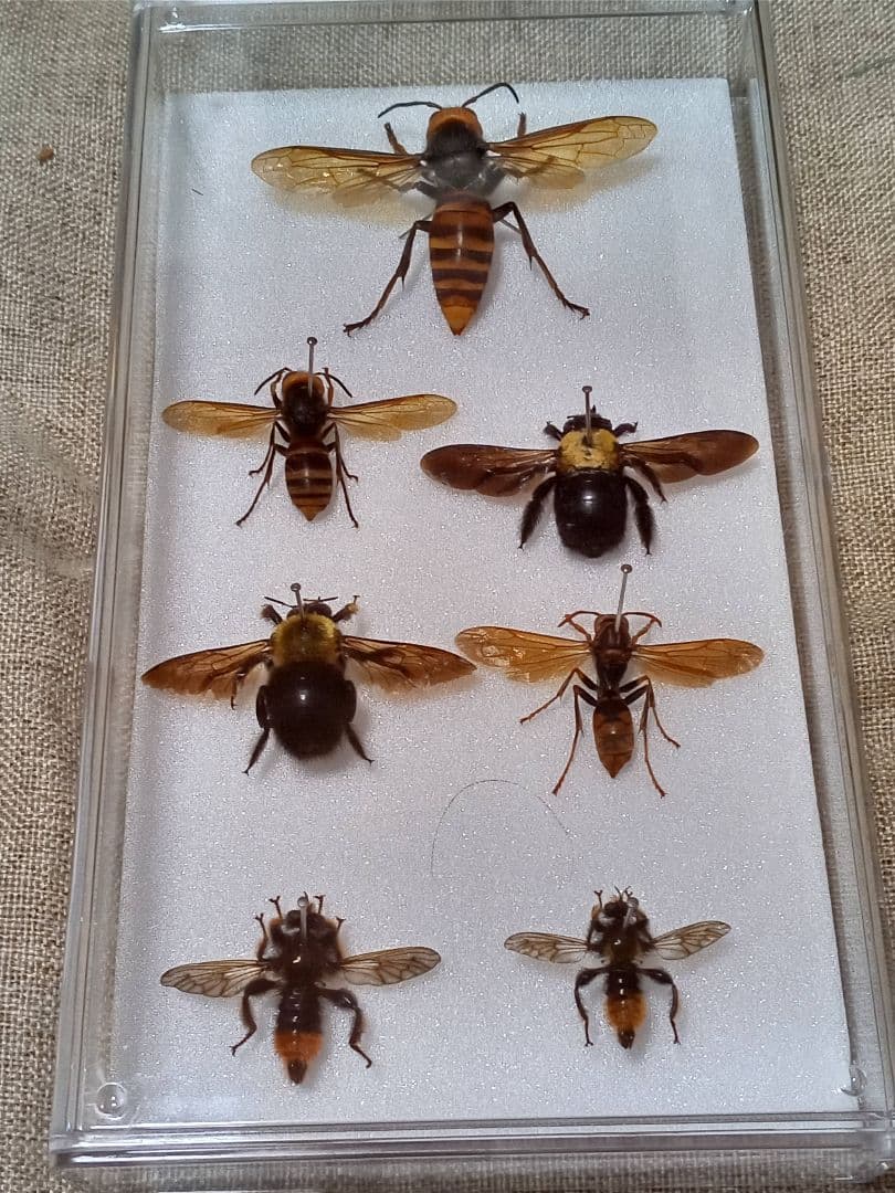 専用。4点まとめ買い商品。