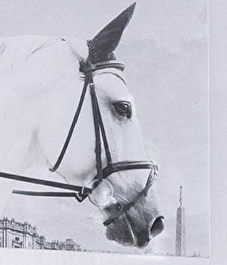 アートフレーム 額絵 2枚セット 馬 クラシックモダン シンプル 85551PI