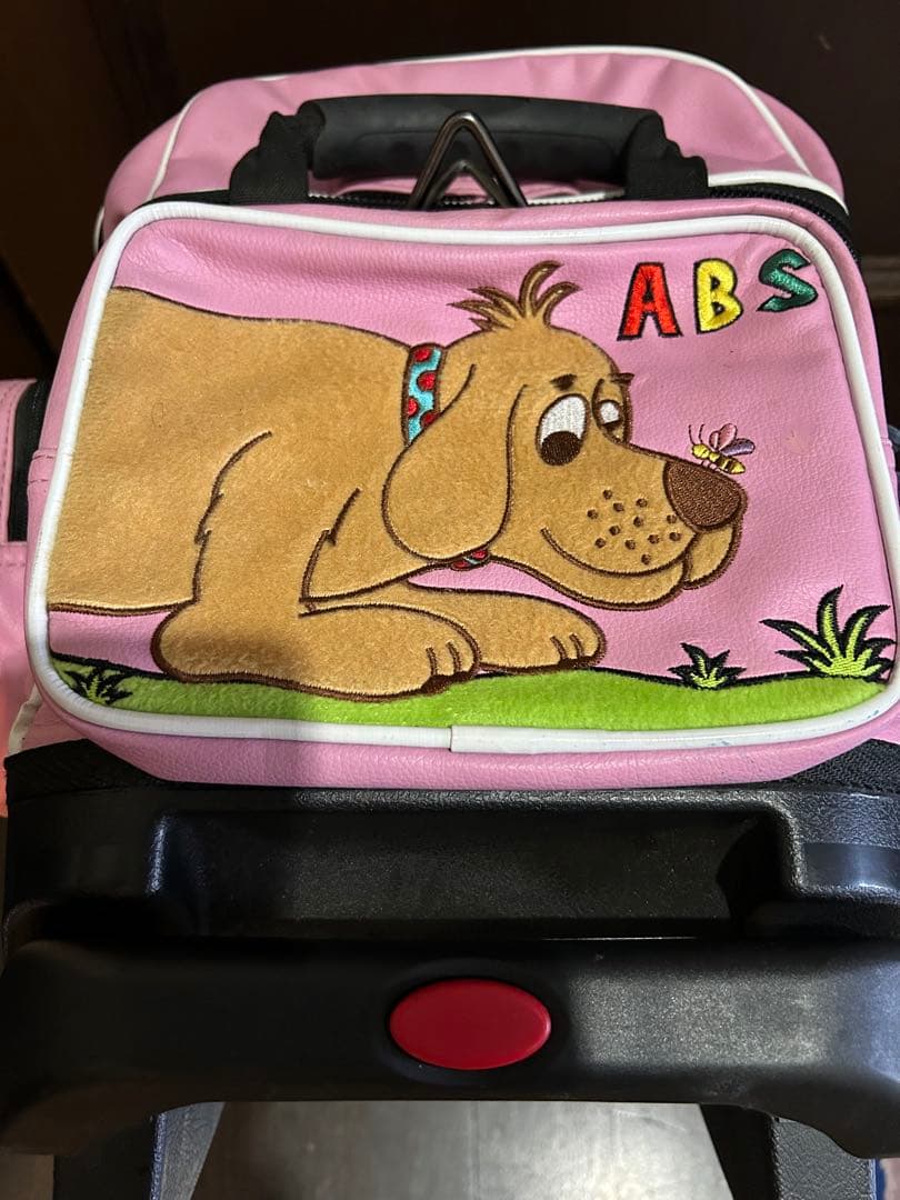 ABSボーリングキャリーバッグと付属品　中古品