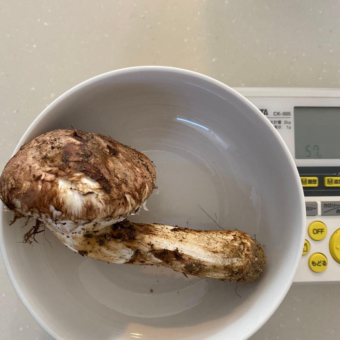 長野県 豊丘村産　松茸　292g 一部虫食い損傷有り