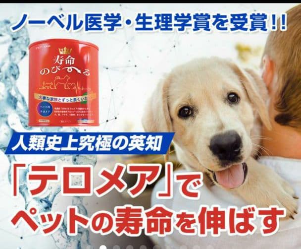 世界初！日本先行販売　ペット用テロメアのサプリ　普段のご飯に混ぜるだけ　1缶