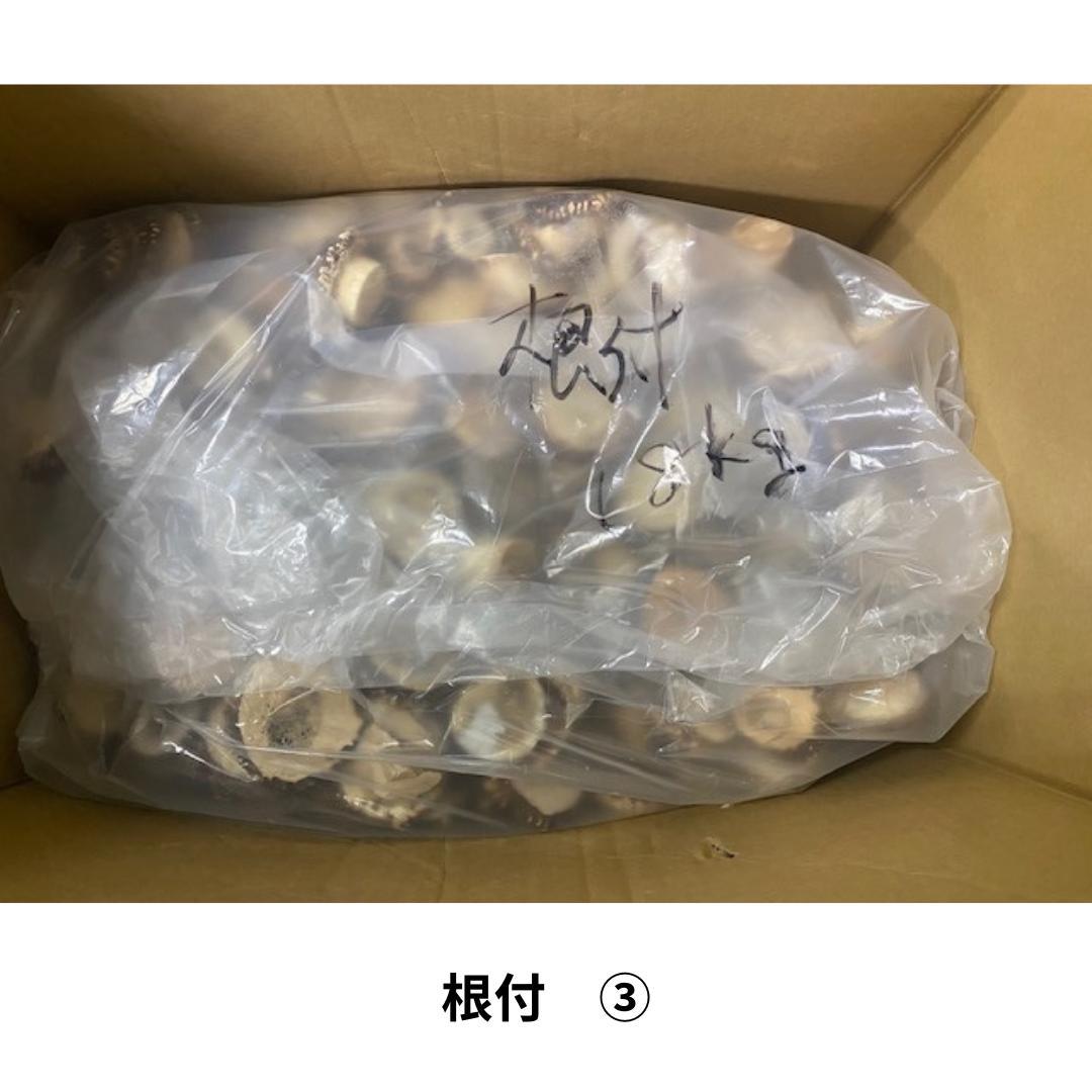 №1Susi商品　詰め合わせ　№1