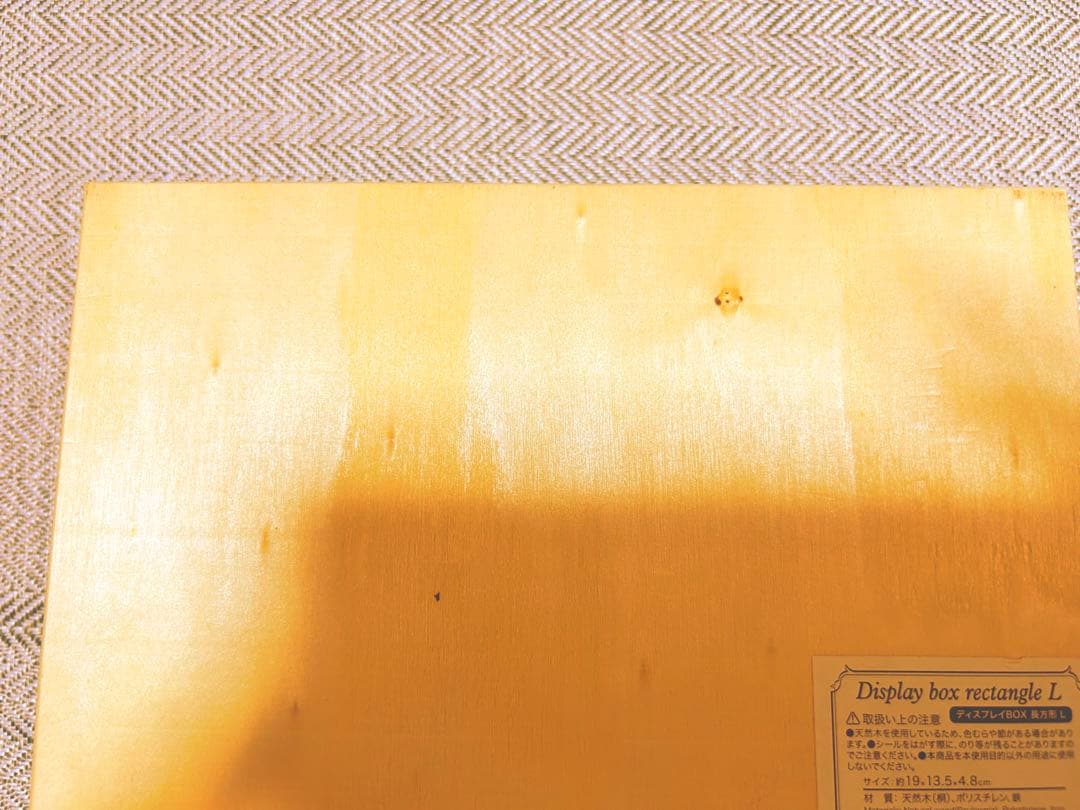 カブトムシ　オス　メス　標本　ケース付き　早い者勝ち！