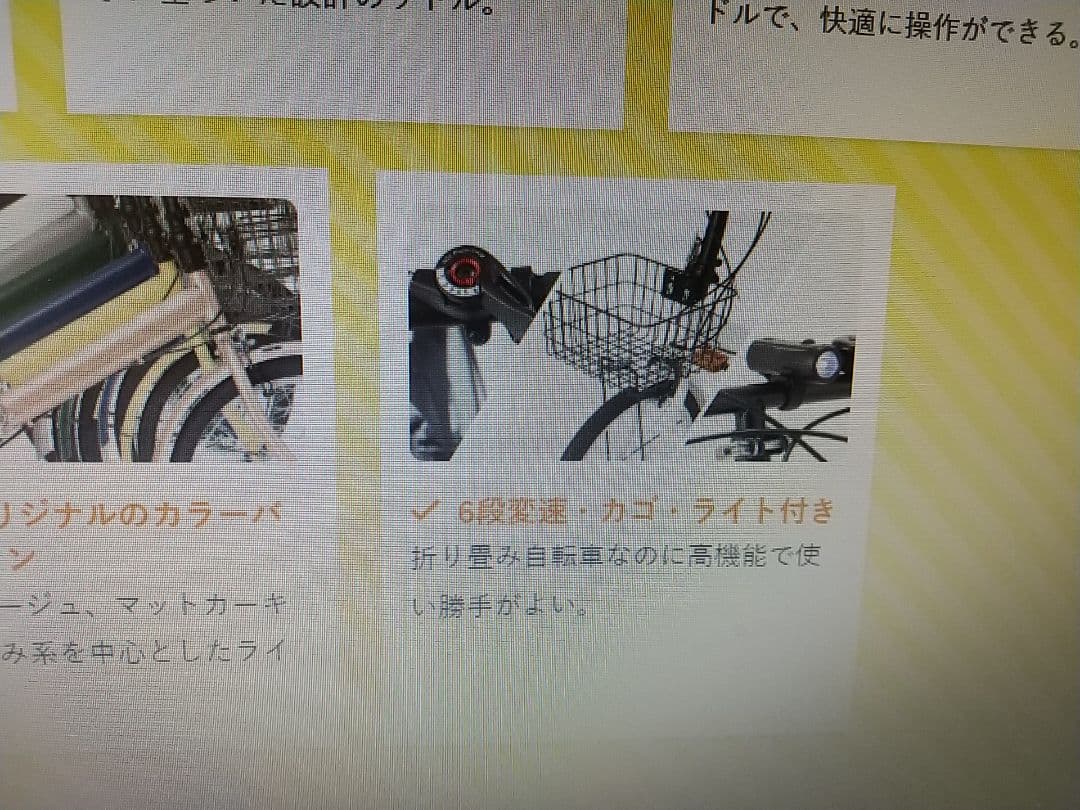 RaQcy 折りたたみ自転車 マットホワイト