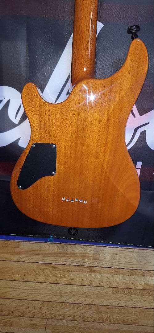 国産SCHECTER RJ-1-24-TOM AMB