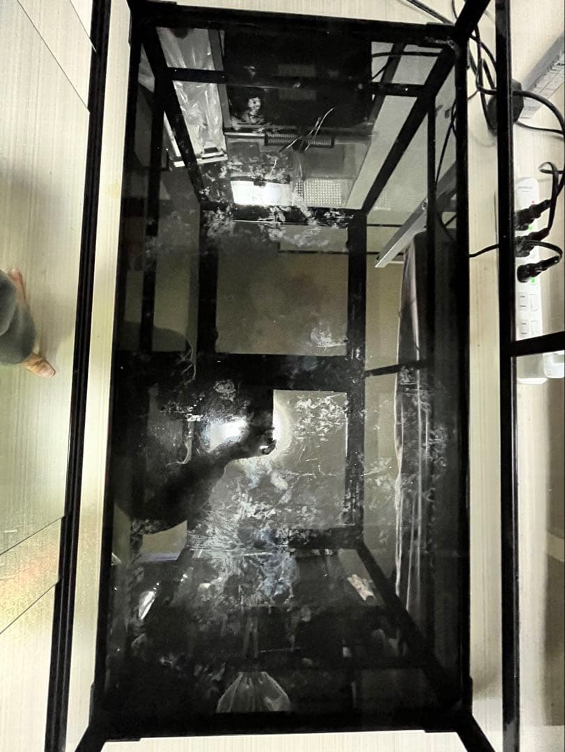 大型ガラス　爬虫類飼育ケージ