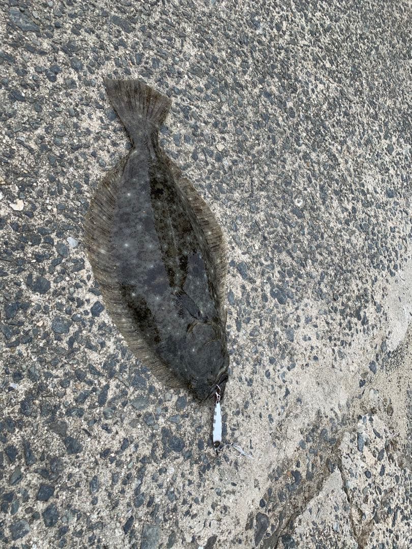 波乙-全-全‼️