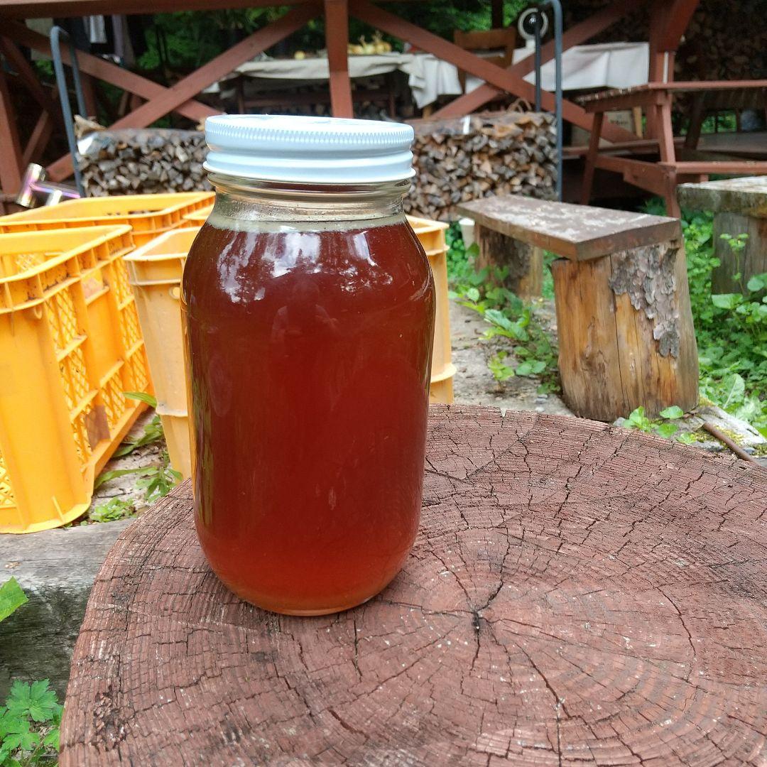 日本蜜蜂 の天然蜂蜜 ハチミツ 1160グラム 八ヶ岳西麓 1250m 産