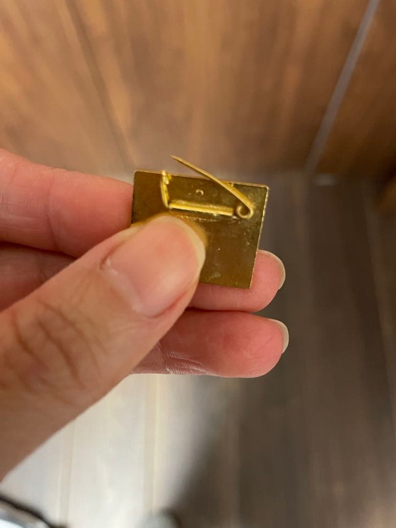 自衛隊　特攻隊　ピンバッジ　徽章　各種58点