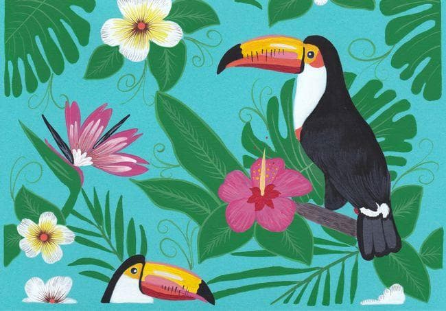 イラスト　原画　ホムチェンコ・アンナ 「トロピカル」