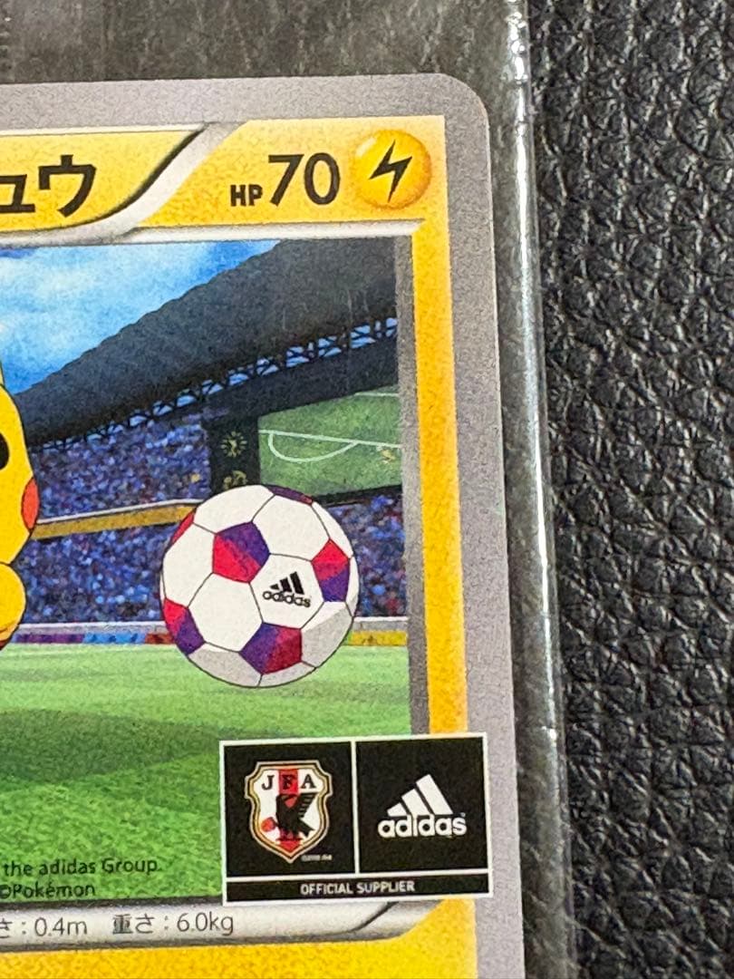 奥*森様 日本代表のピカチュウ