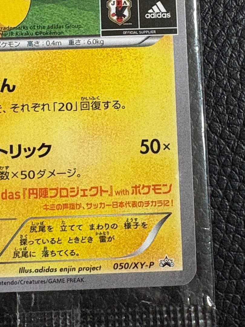 奥*森様 日本代表のピカチュウ