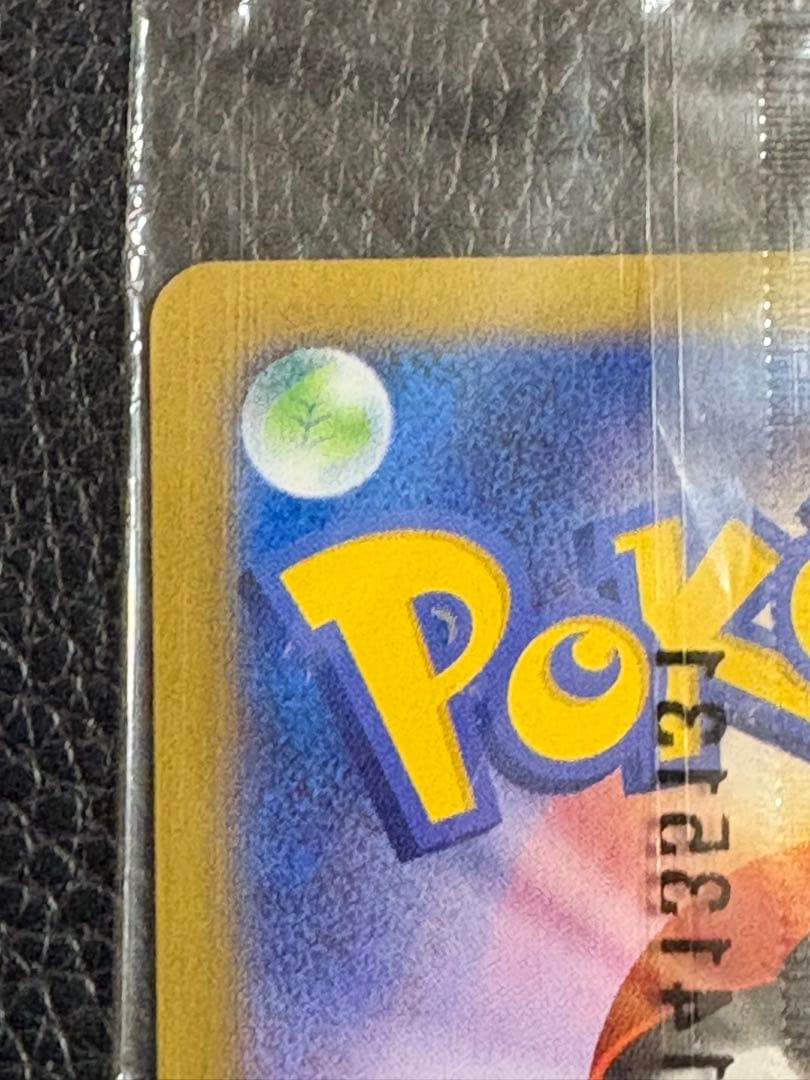 奥*森様 日本代表のピカチュウ