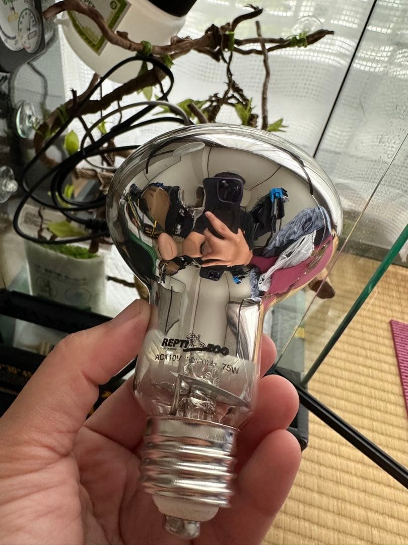 その他 deko_cherry