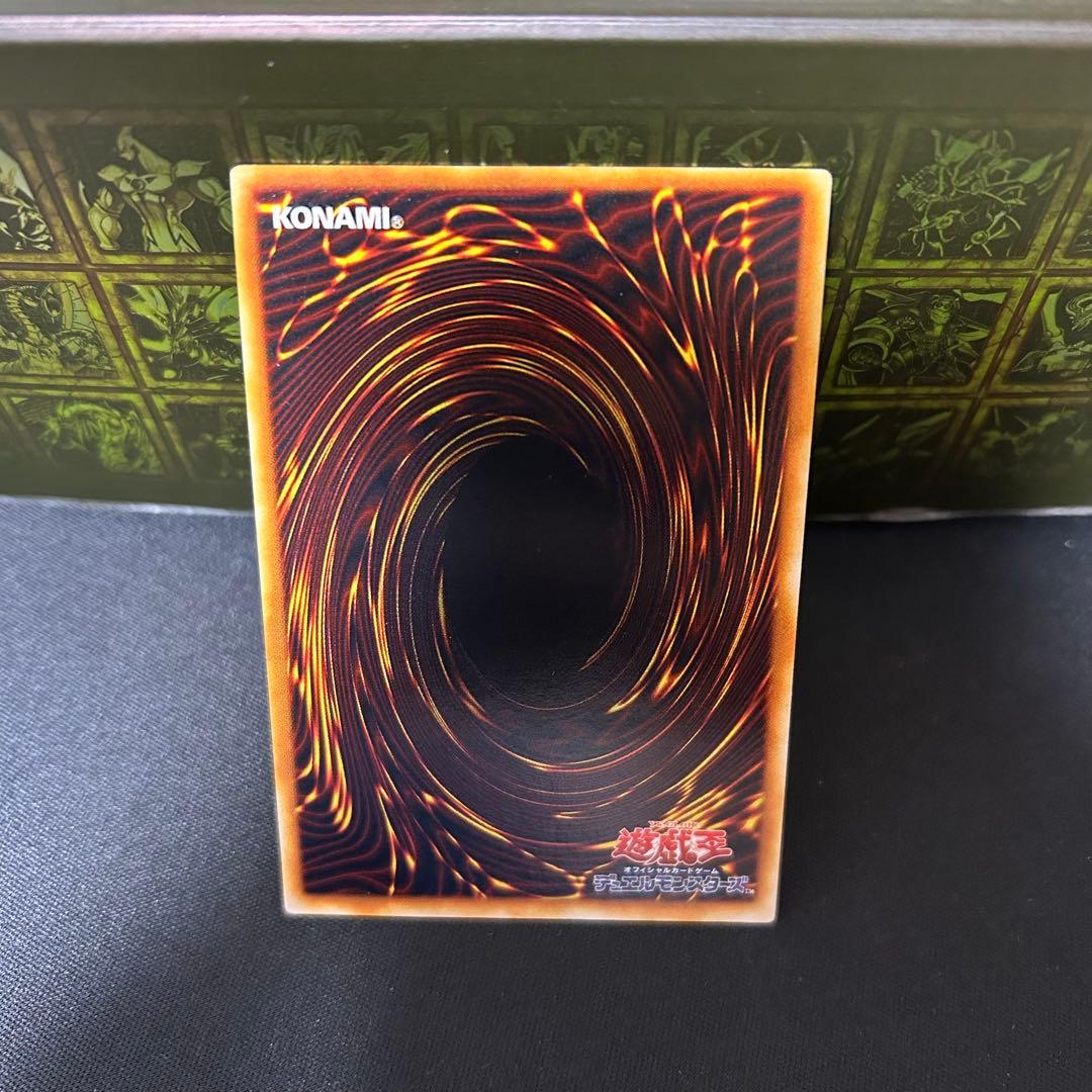 ブラックローズドラゴン　混沌帝龍　など　レリーフ　18枚　まとめ売り