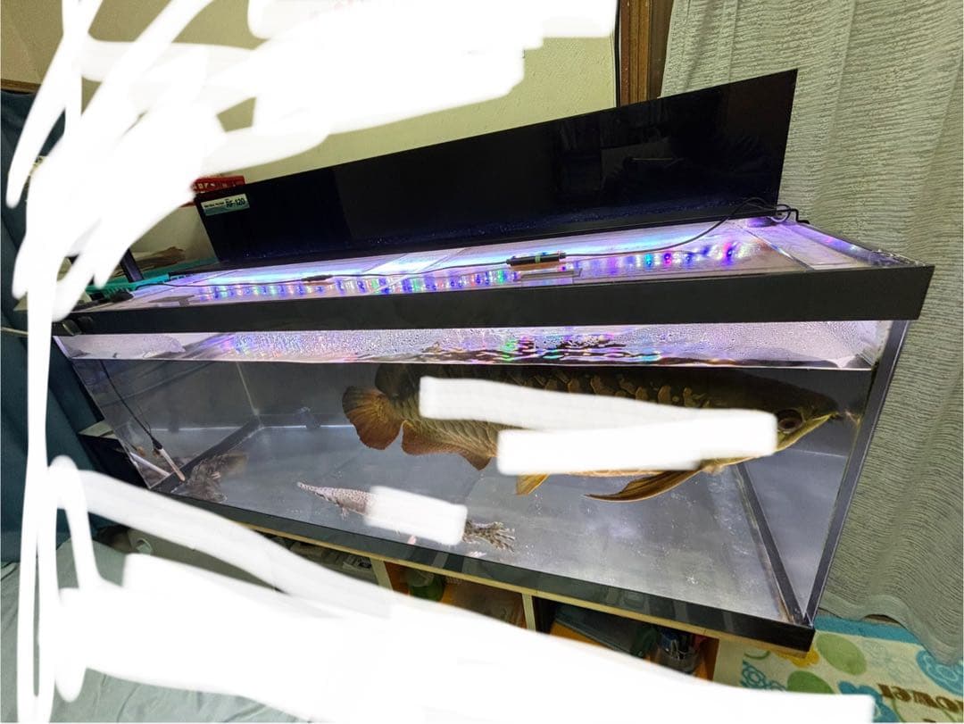 アクリル水槽120cmフルセット