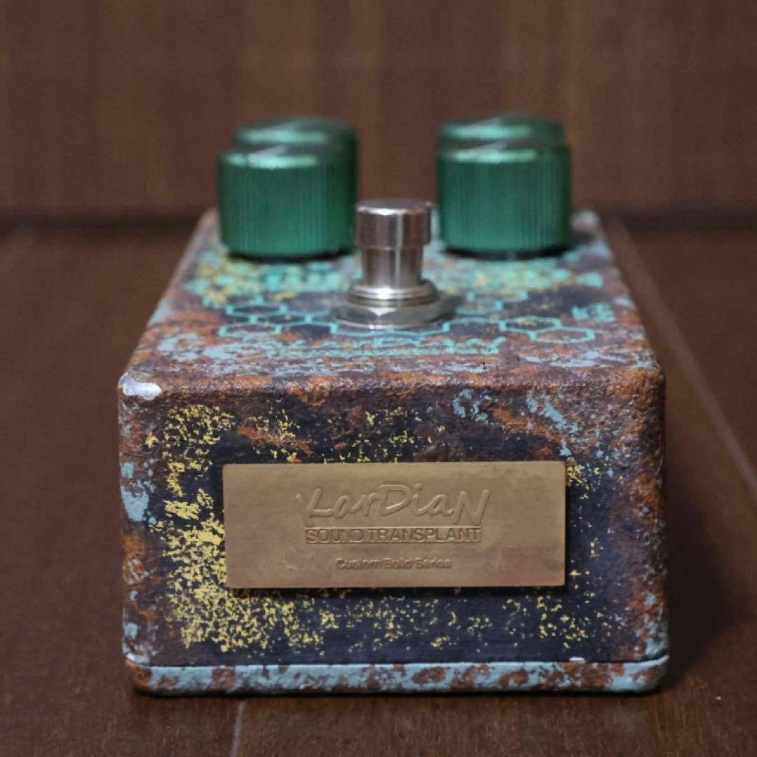 ギター Kardian Serotonin Origin S.T