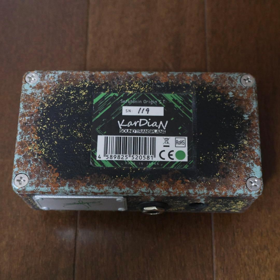 ギター Kardian Serotonin Origin S.T