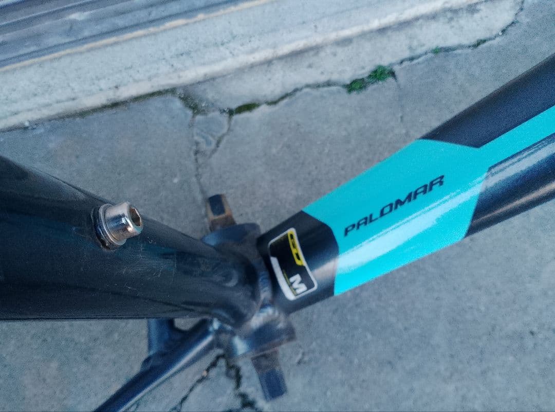 フレーム PALOMAR GT