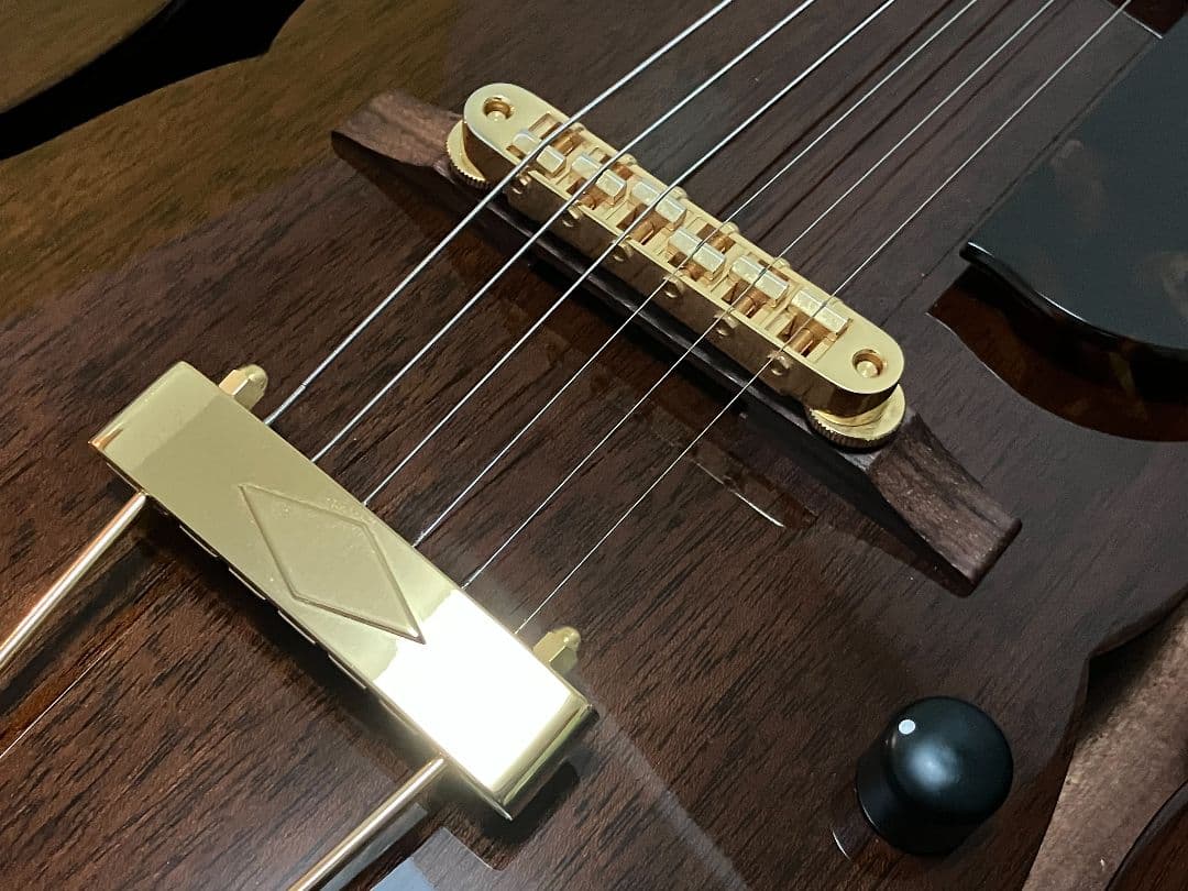 ロゼオ ギター Rozeo Ladybug フルアコースティック 美品