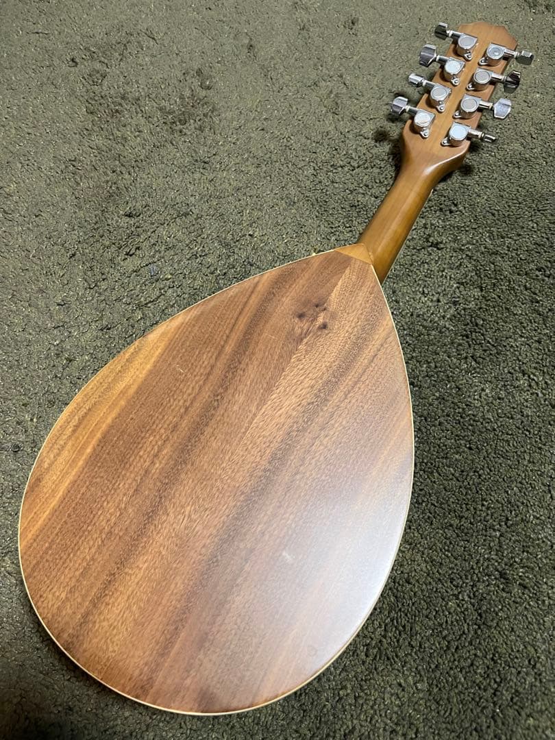 【英国購入】Blue Moon GR3120 マンドリン Aスタイル ケース付