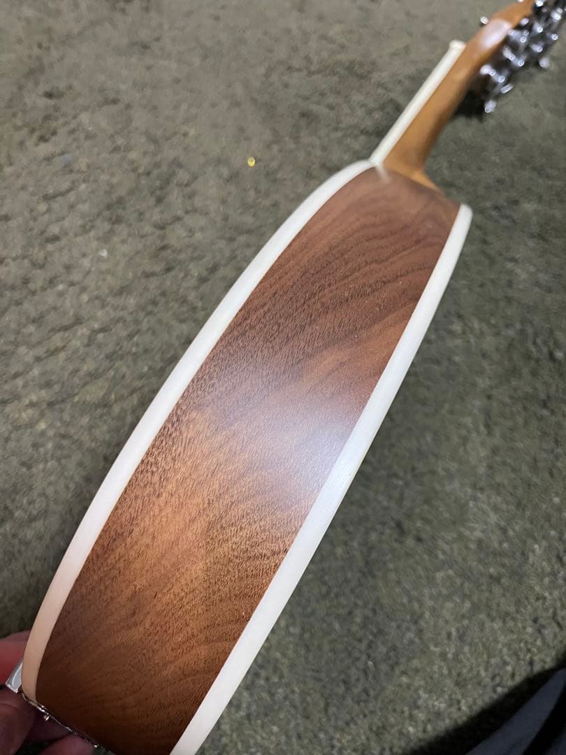 【英国購入】Blue Moon GR3120 マンドリン Aスタイル ケース付