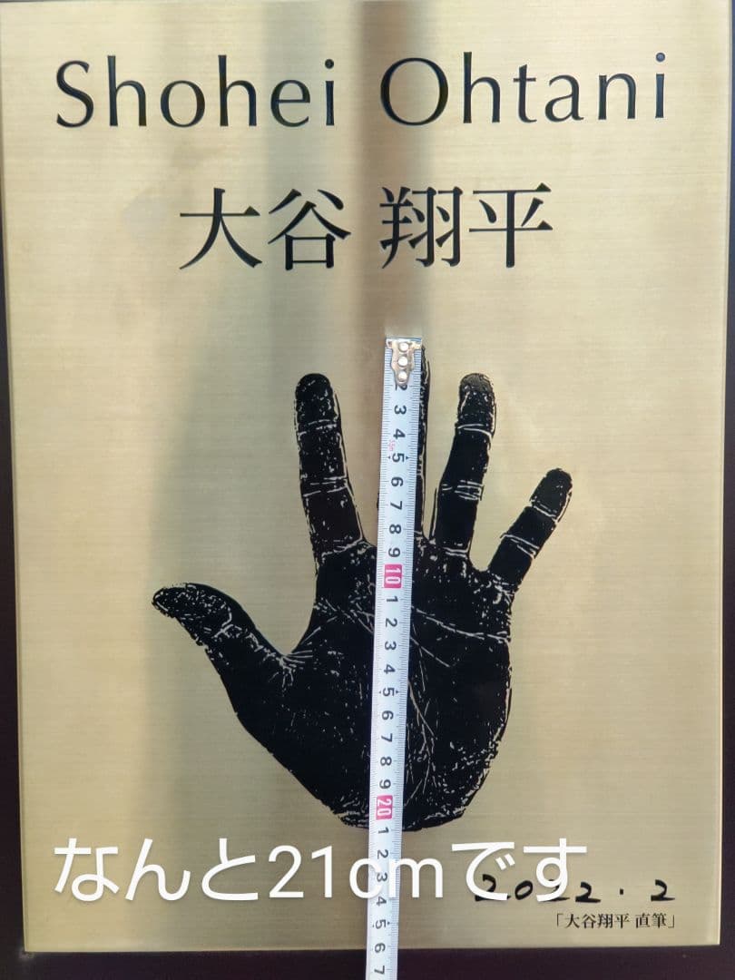 秋新蜜　日本みつばちの百花蜜（１年熟成物）　550ｇ✕2本（1.1kg）