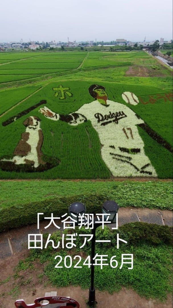 秋新蜜　日本みつばちの百花蜜（１年熟成物）　550ｇ✕2本（1.1kg）