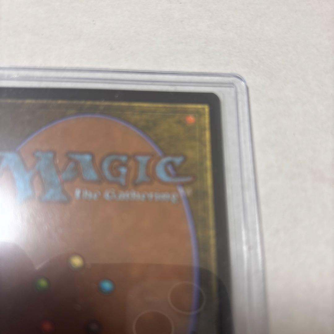 オセロットの群れ　ストアチャンピオンシップ優勝プロモ　MTG