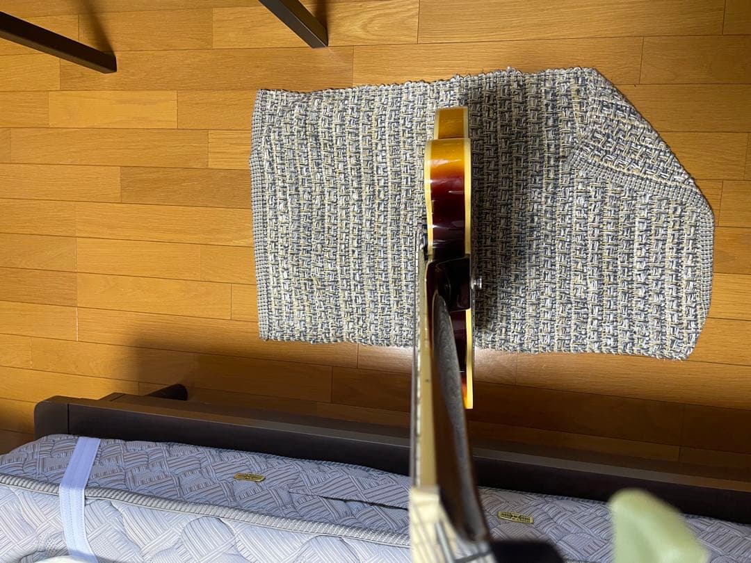 スケアリー！エピフォンES-335カスタムショップ製リミテッドエディション