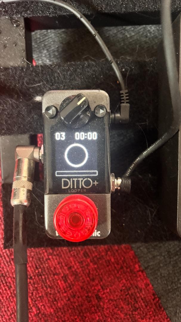ギター tc electronic DITTO+ LOOPER