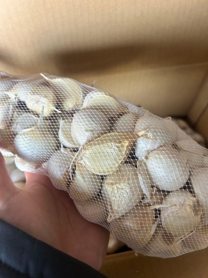 【お買い得セール】青森県 福地ホワイト にんにく L.2Lバラ4kg 家庭用