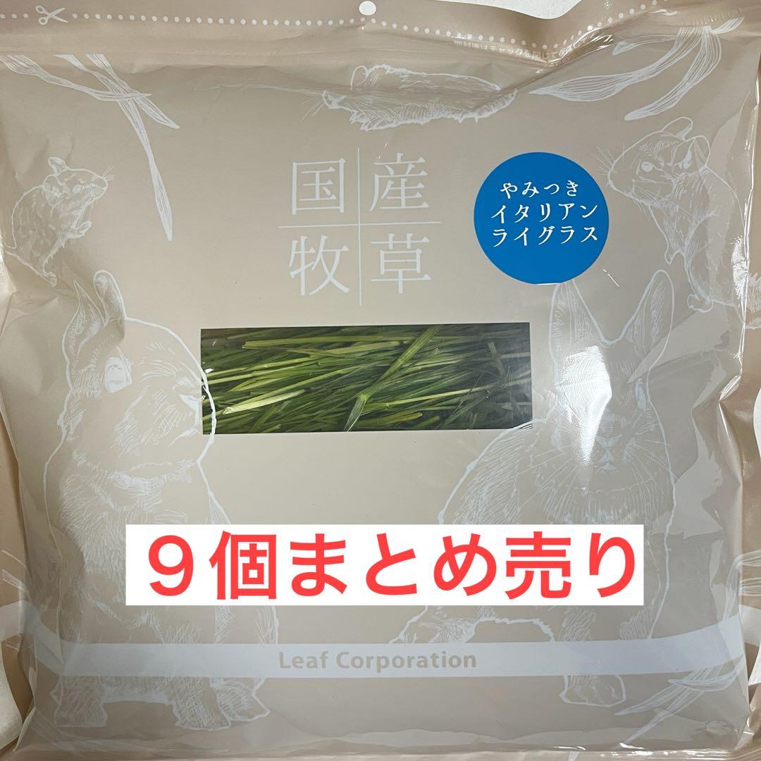 令和7年産国産やみつきイタリアンライグラス 100g 9個まとめ売り