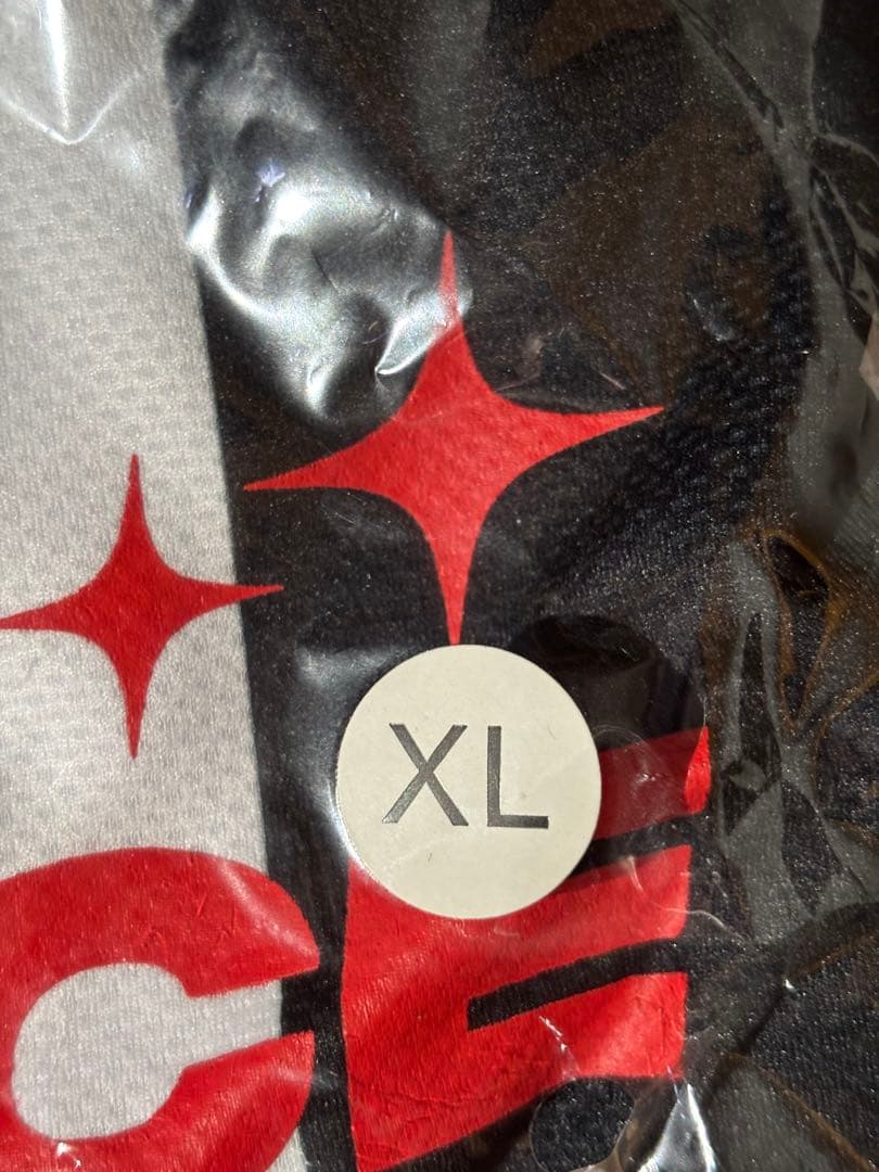 新品 AP×O(A) coldrain Paleduskコラボゲームシャツ XL