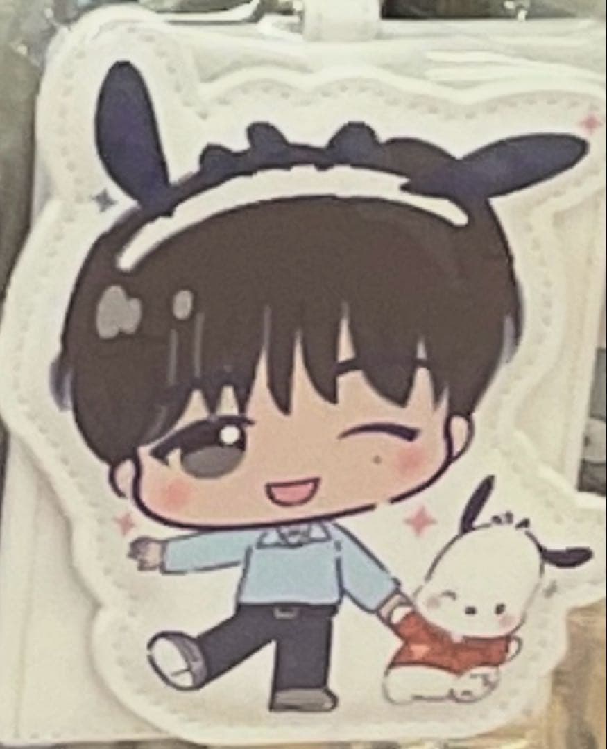 9点　SEVENTEEN × サンリオキャラクターズ　パスケース　バラ売りok