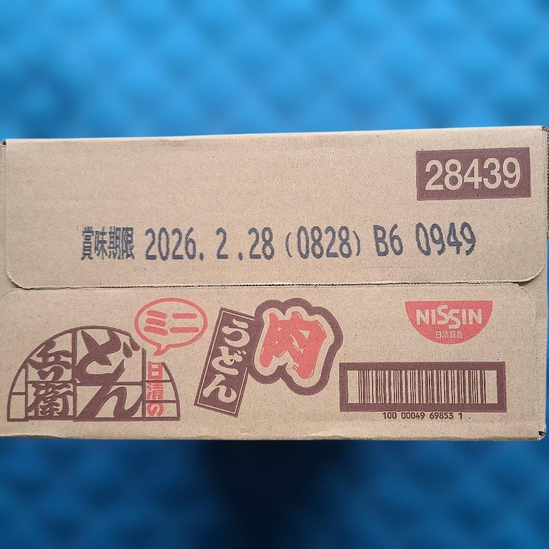 アミューズメント食品セットカップ麺いろいろ合計４５個＋チャーハンの素２種１２袋