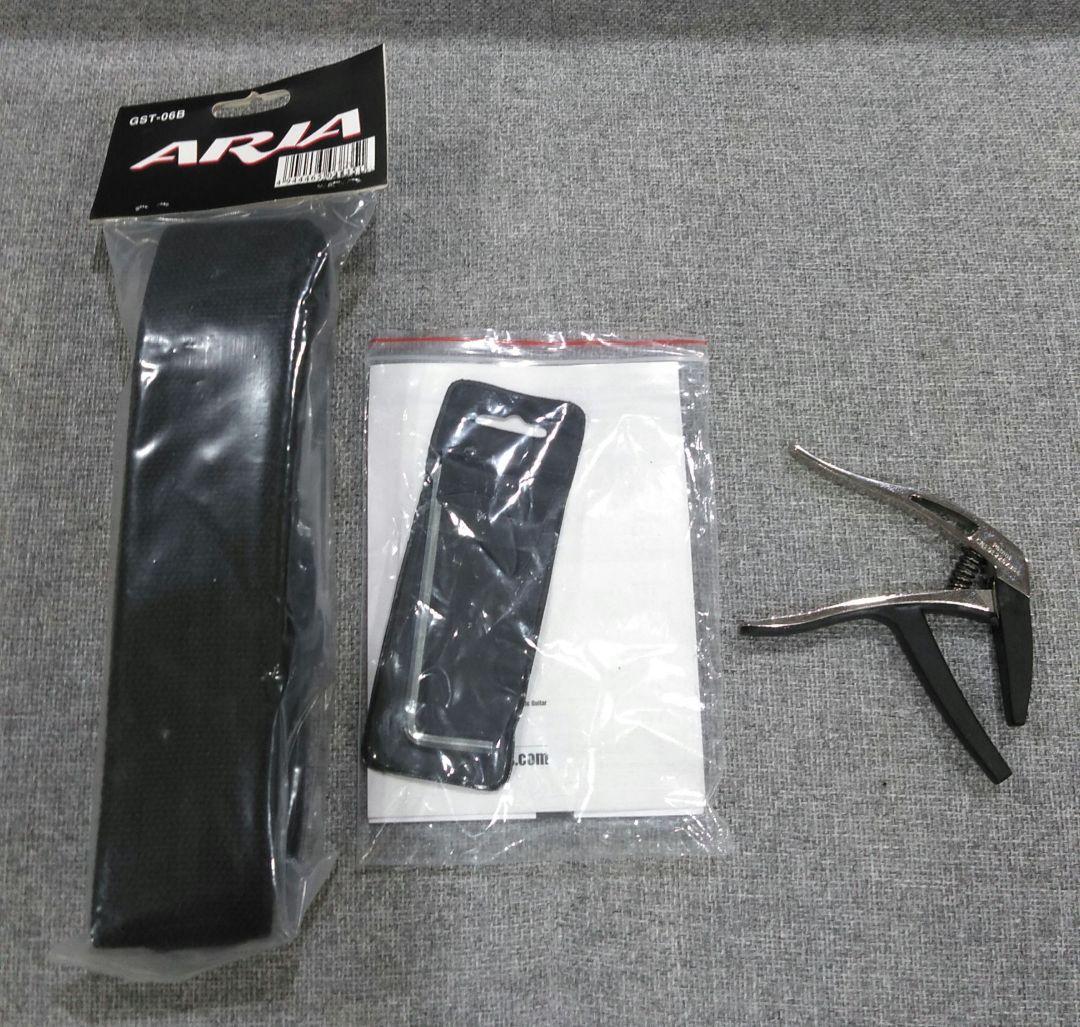 ARIA 　Aria　アコースティックギター　101 MTTS　ギターケース付き