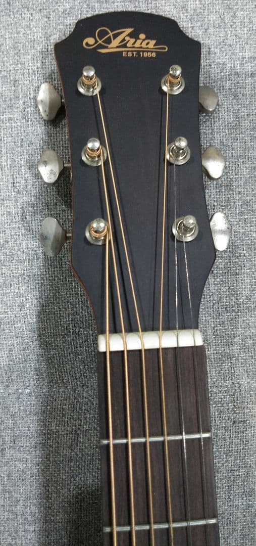 ARIA 　Aria　アコースティックギター　101 MTTS　ギターケース付き